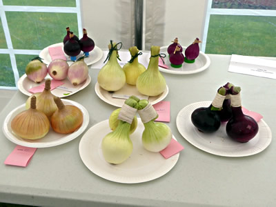 Plockton Horticultural Society